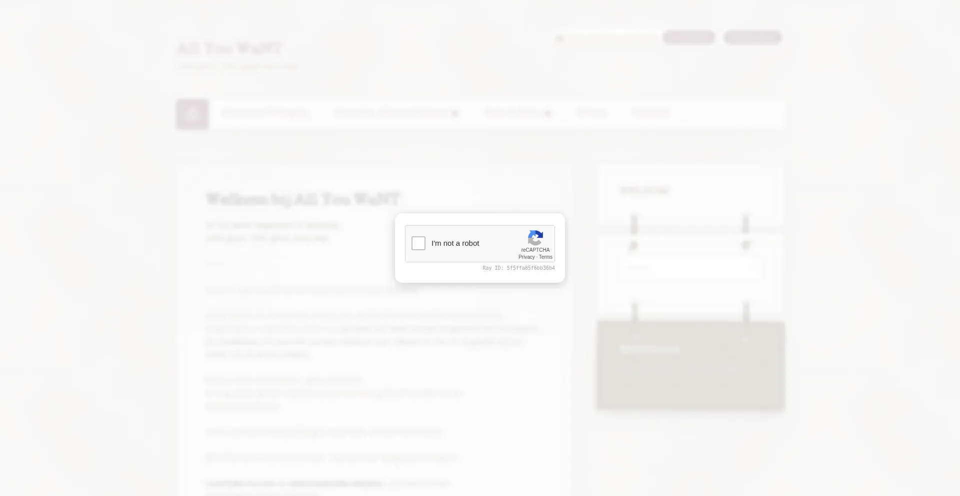Allyouwant-webshop.nl