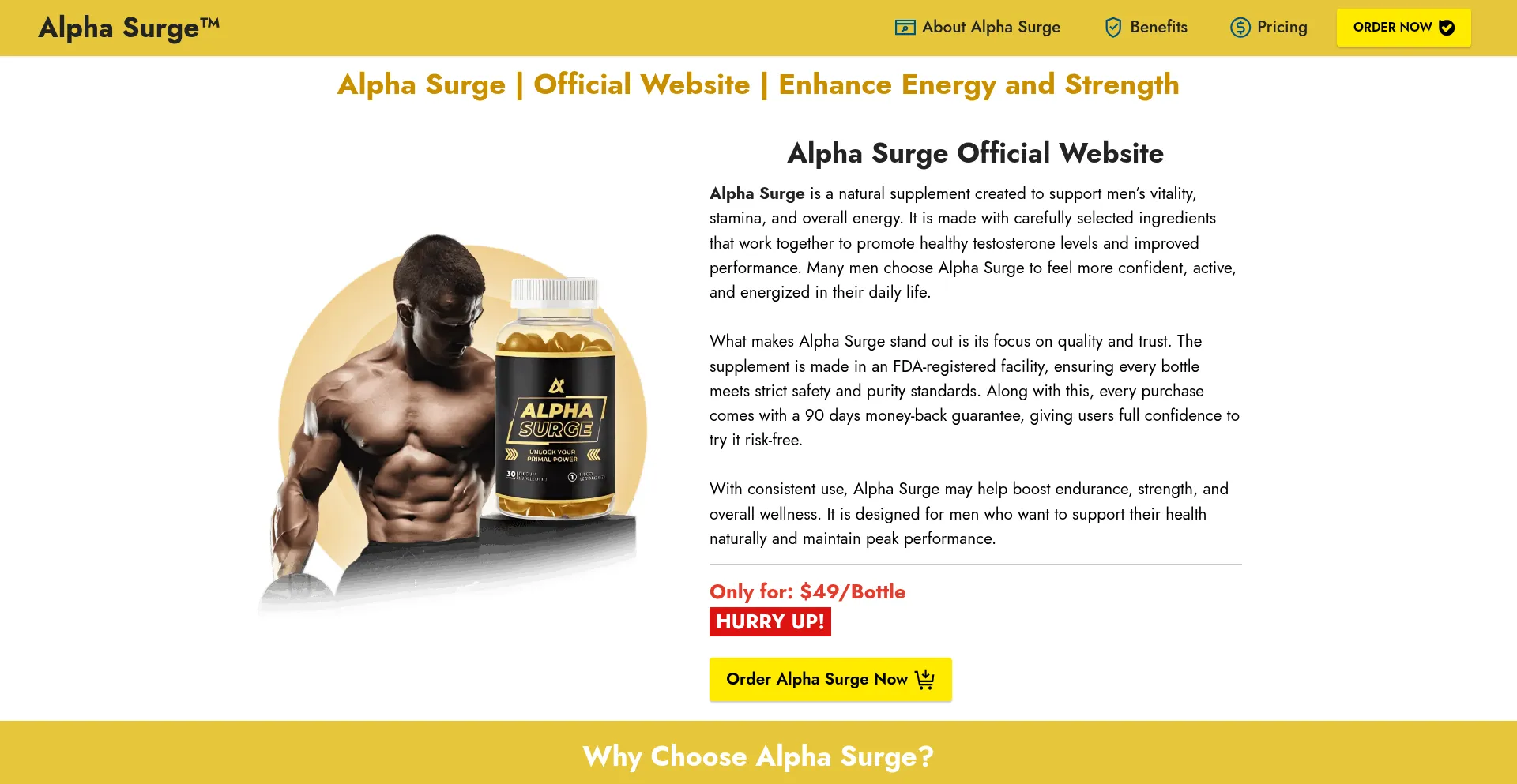 Website screenshot of Alpha-surge-us.us
