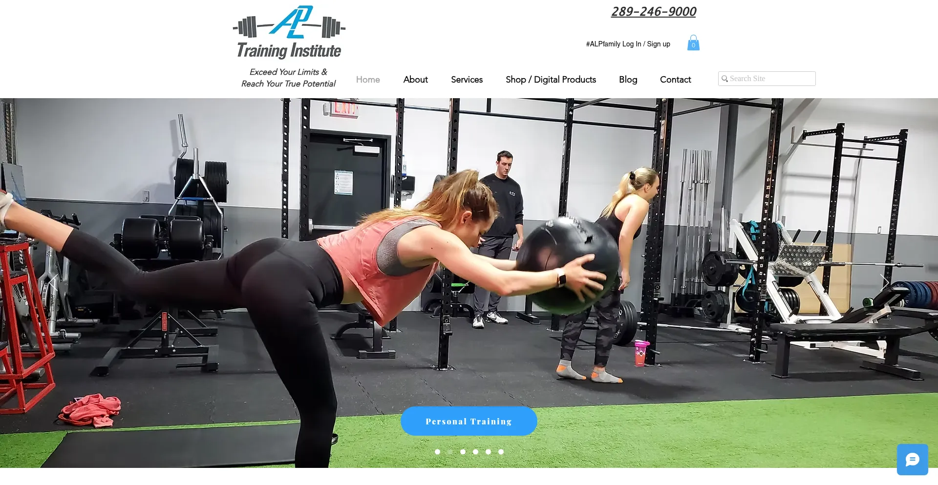 Alptraininginstitute.com
