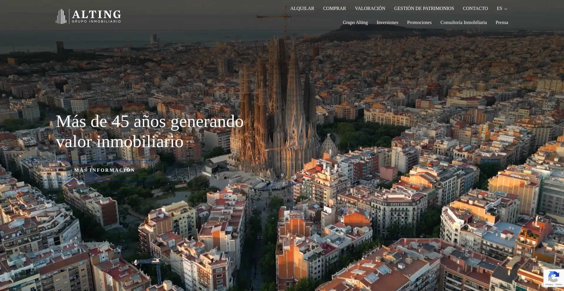 Website screenshot of Alting.com