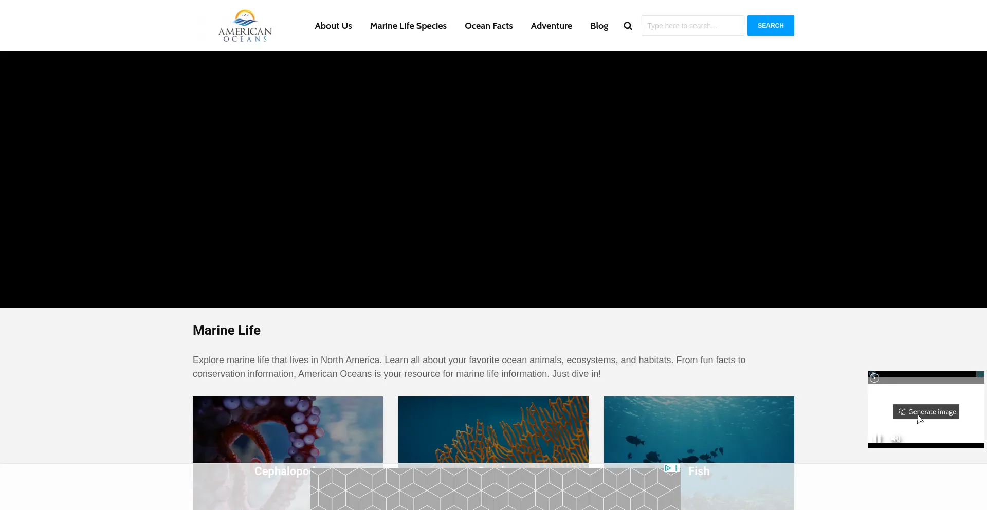 Americanoceans.org