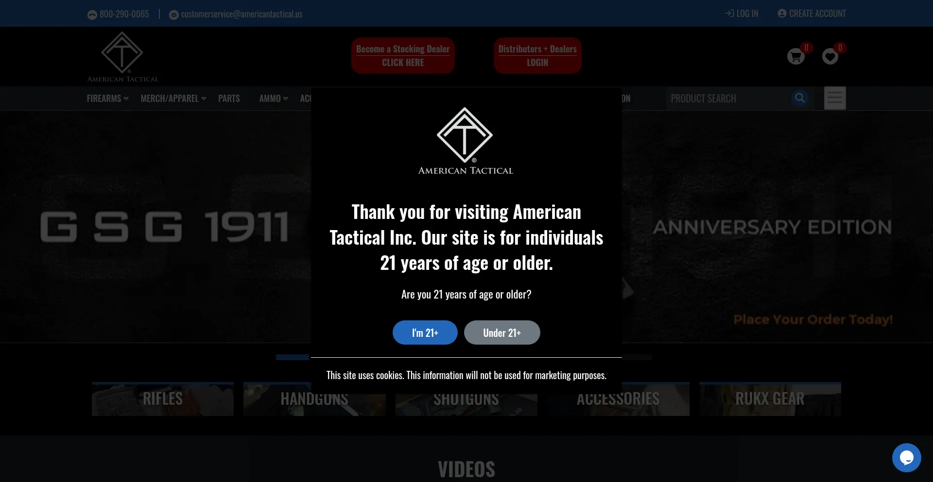 Website screenshot of Americantactical.us