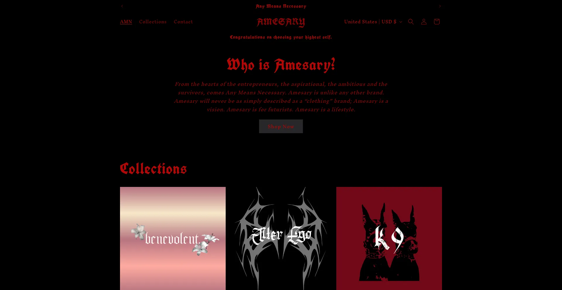Website screenshot of Amesary.com