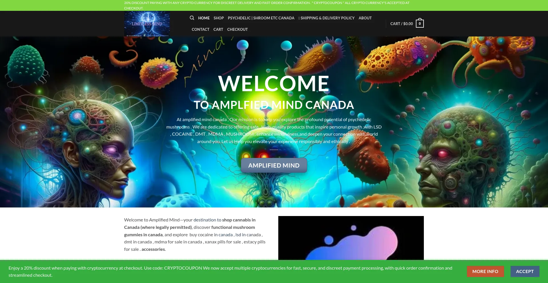 Amplifiedmind.ca