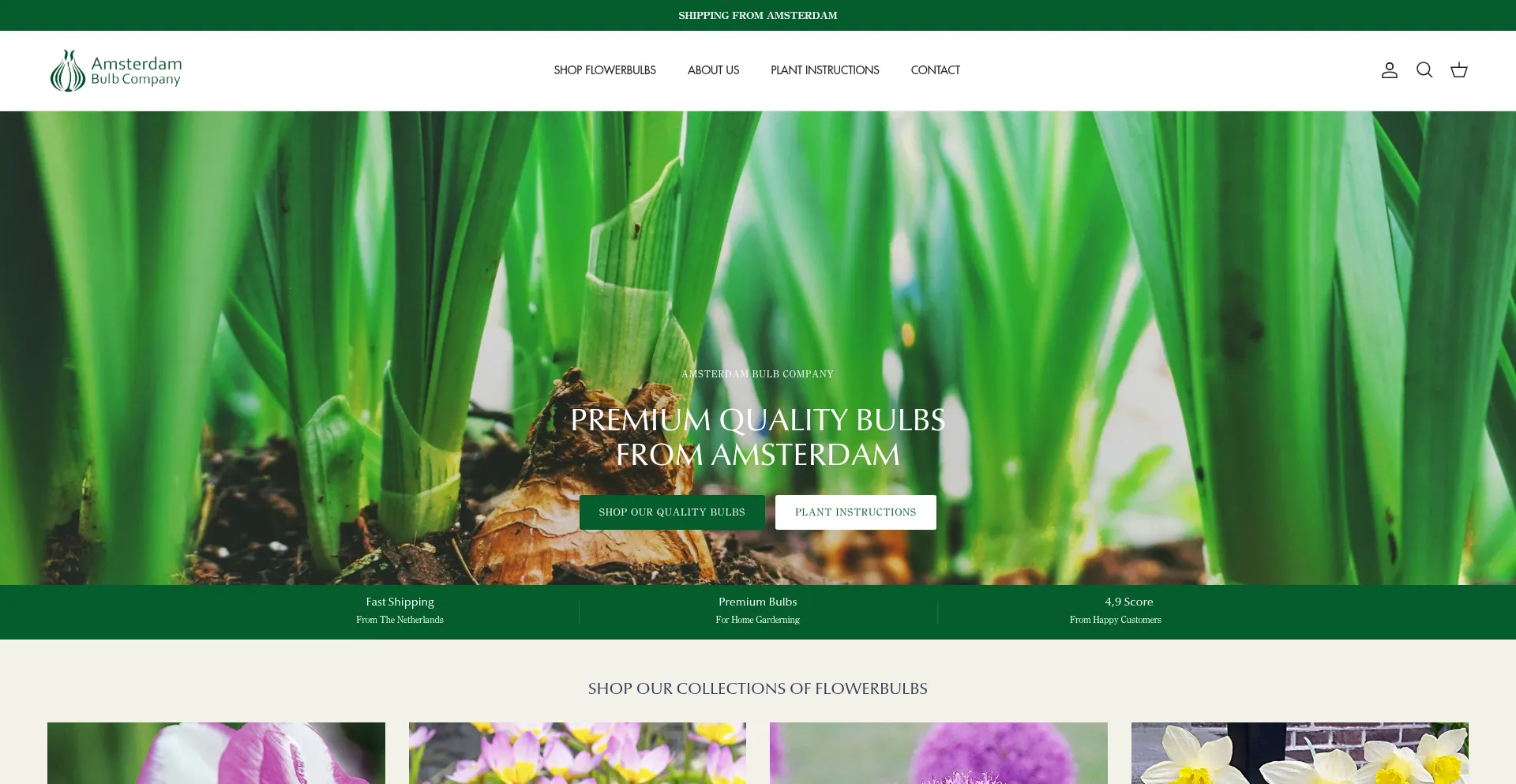 Website screenshot of Amsterdambulb.com