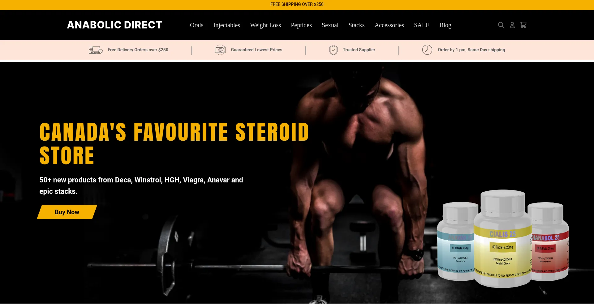 Website screenshot of Anabolicdirect.co