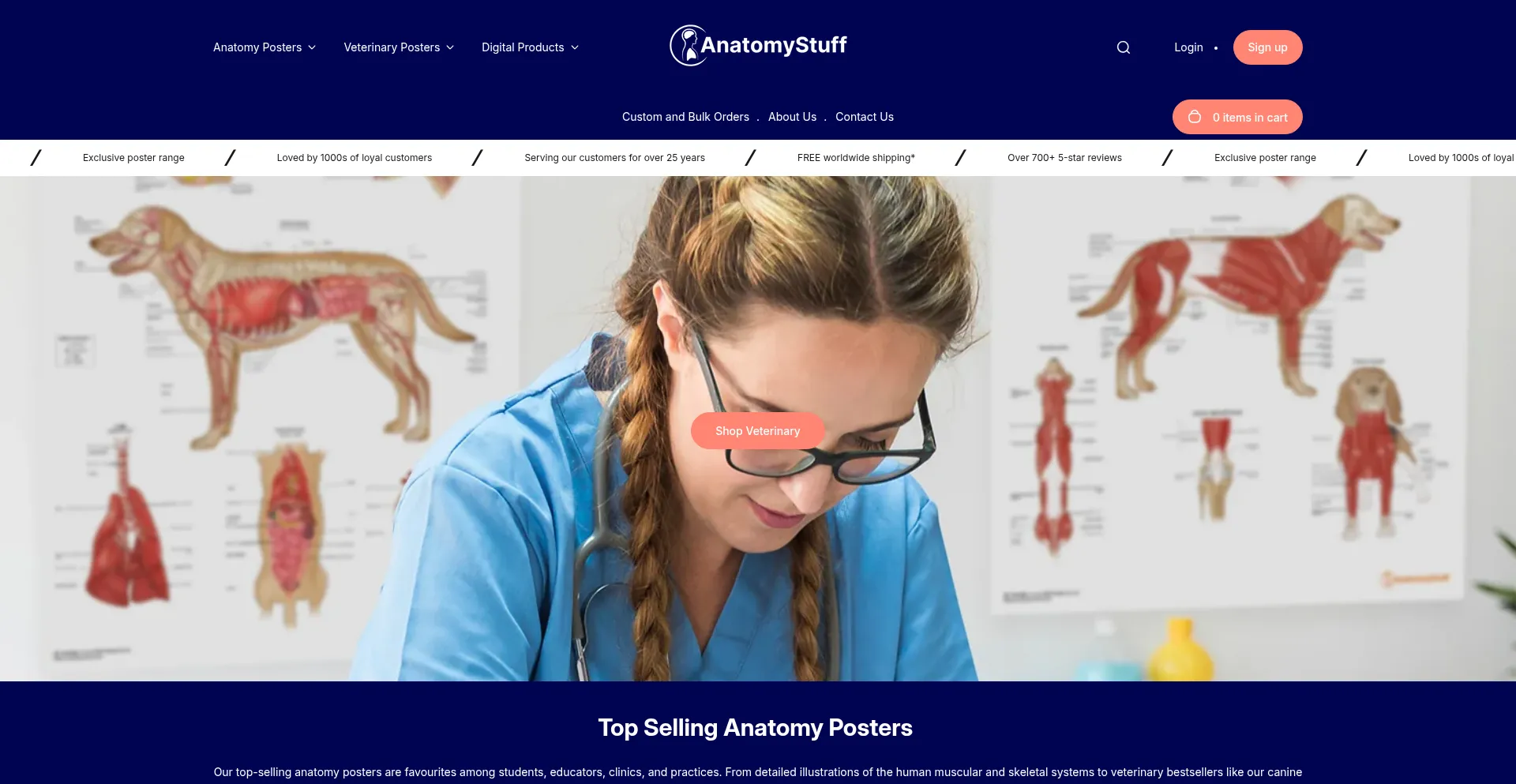 Anatomystuff.com