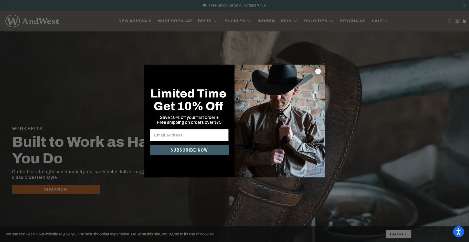 Website screenshot of Andwest.com
