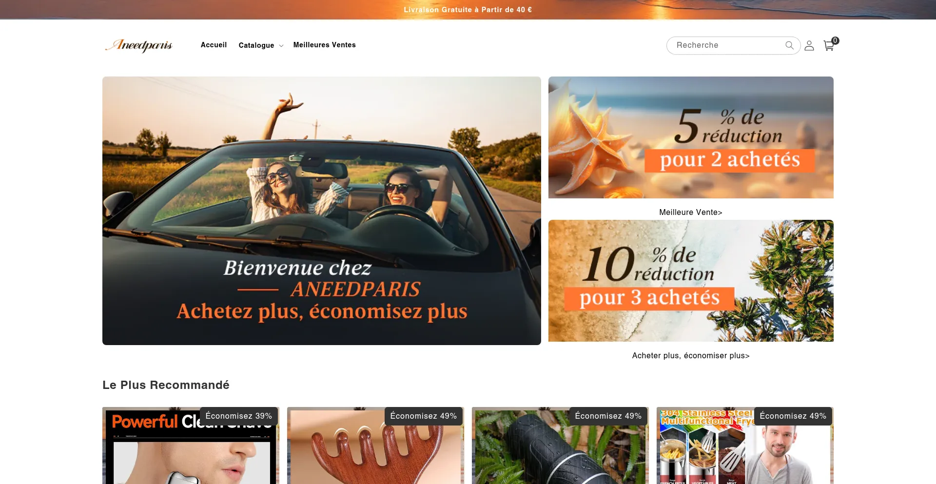 Website screenshot of Aneedparis.com