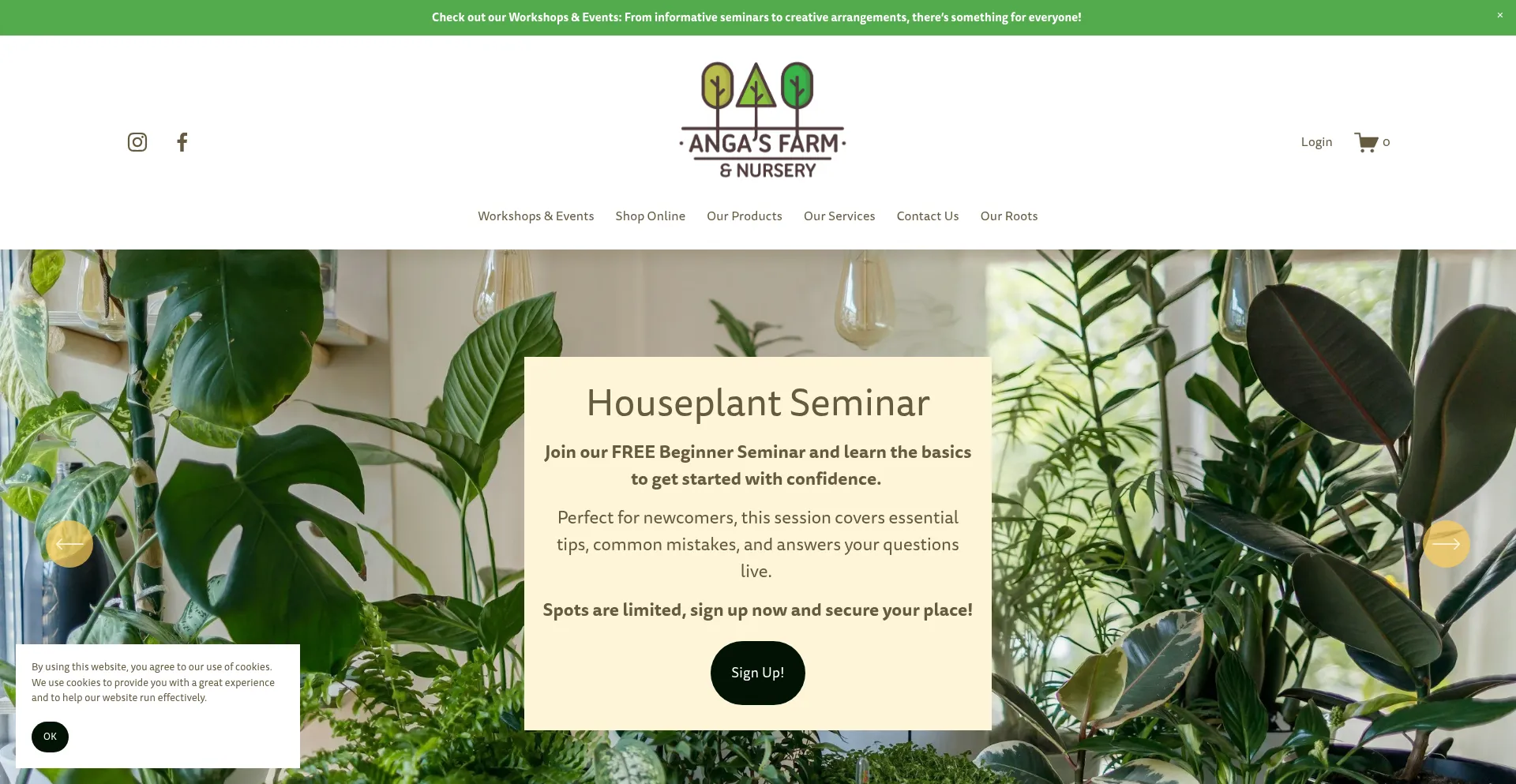 Website screenshot of Angasfarm.ca