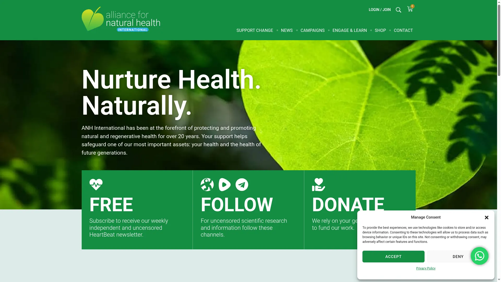 Anhinternational.org