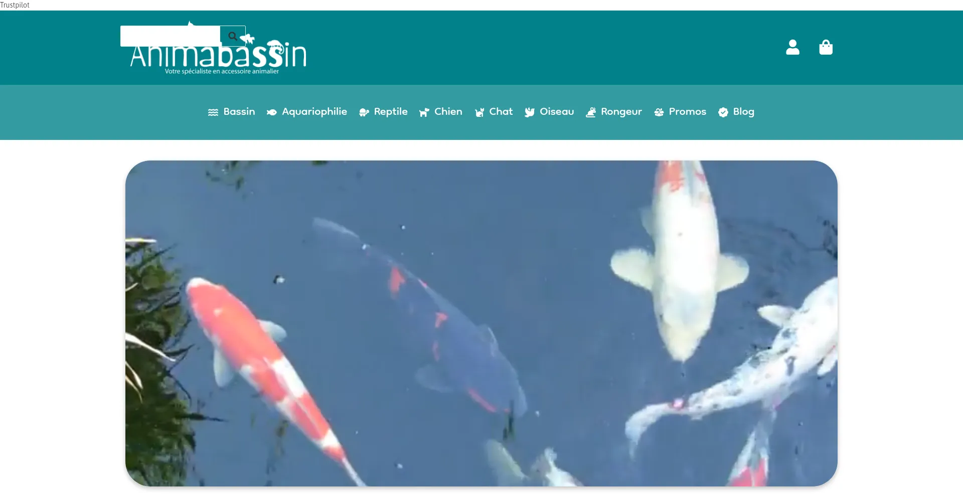 Website screenshot of Animabassin.com