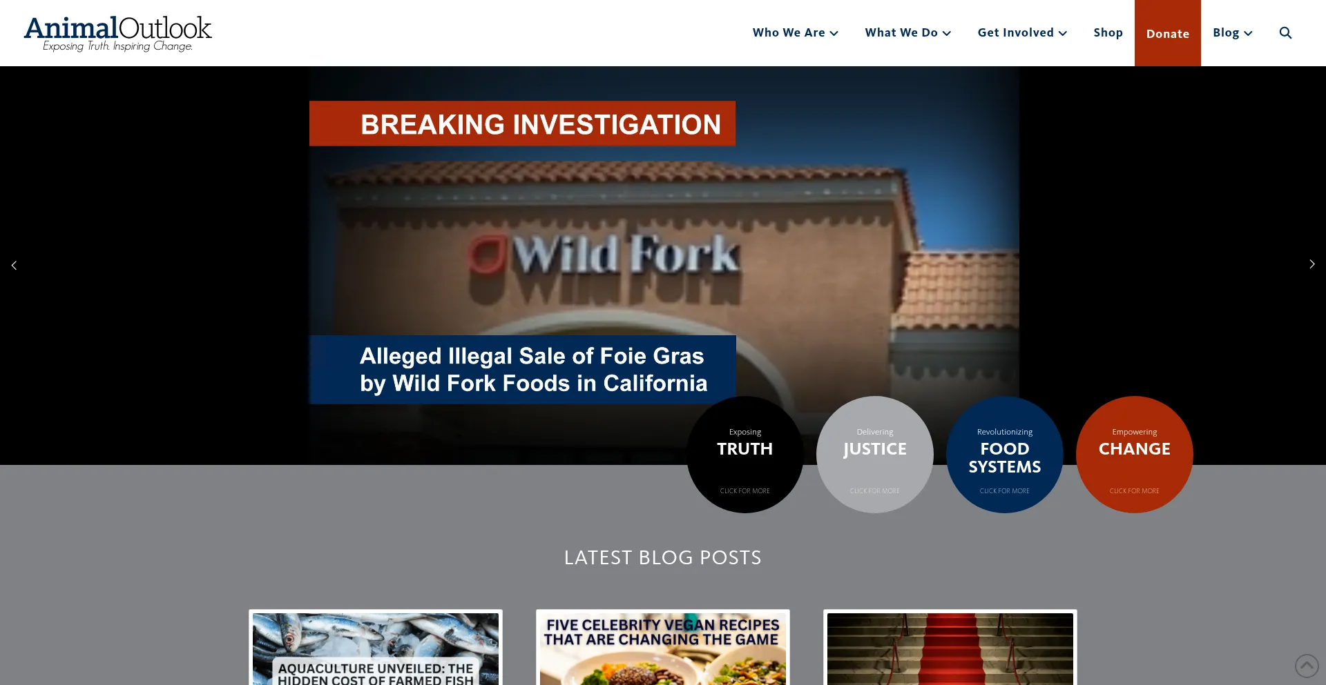 Website screenshot of Animaloutlook.org