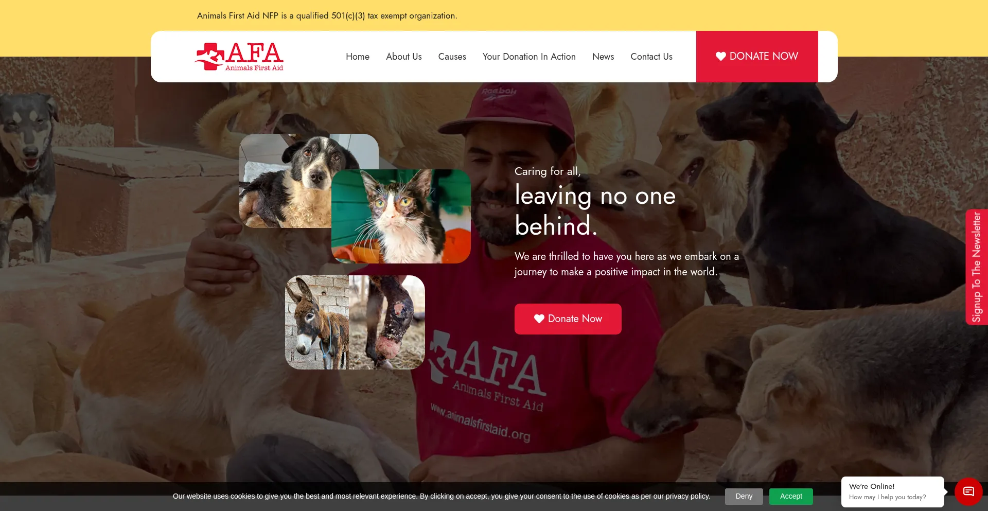 Website screenshot of Animalsfirstaid.org