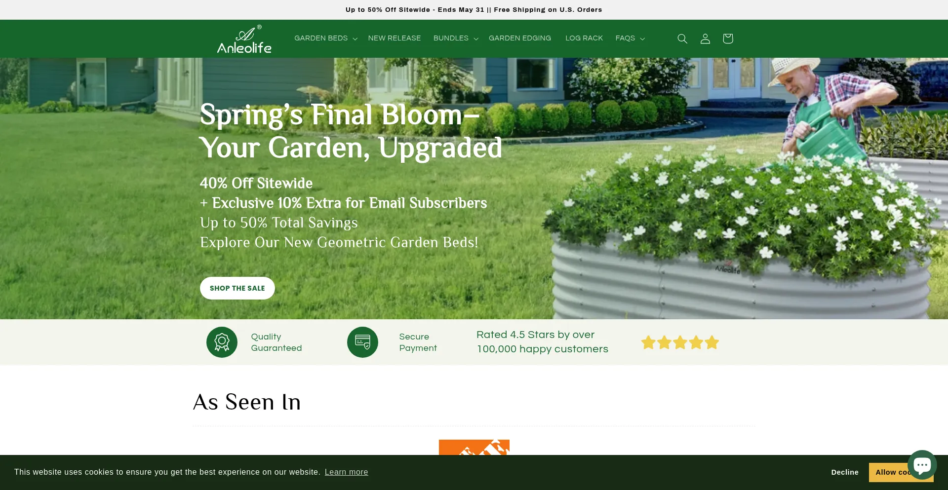 Website screenshot of Anleolifeshop.com