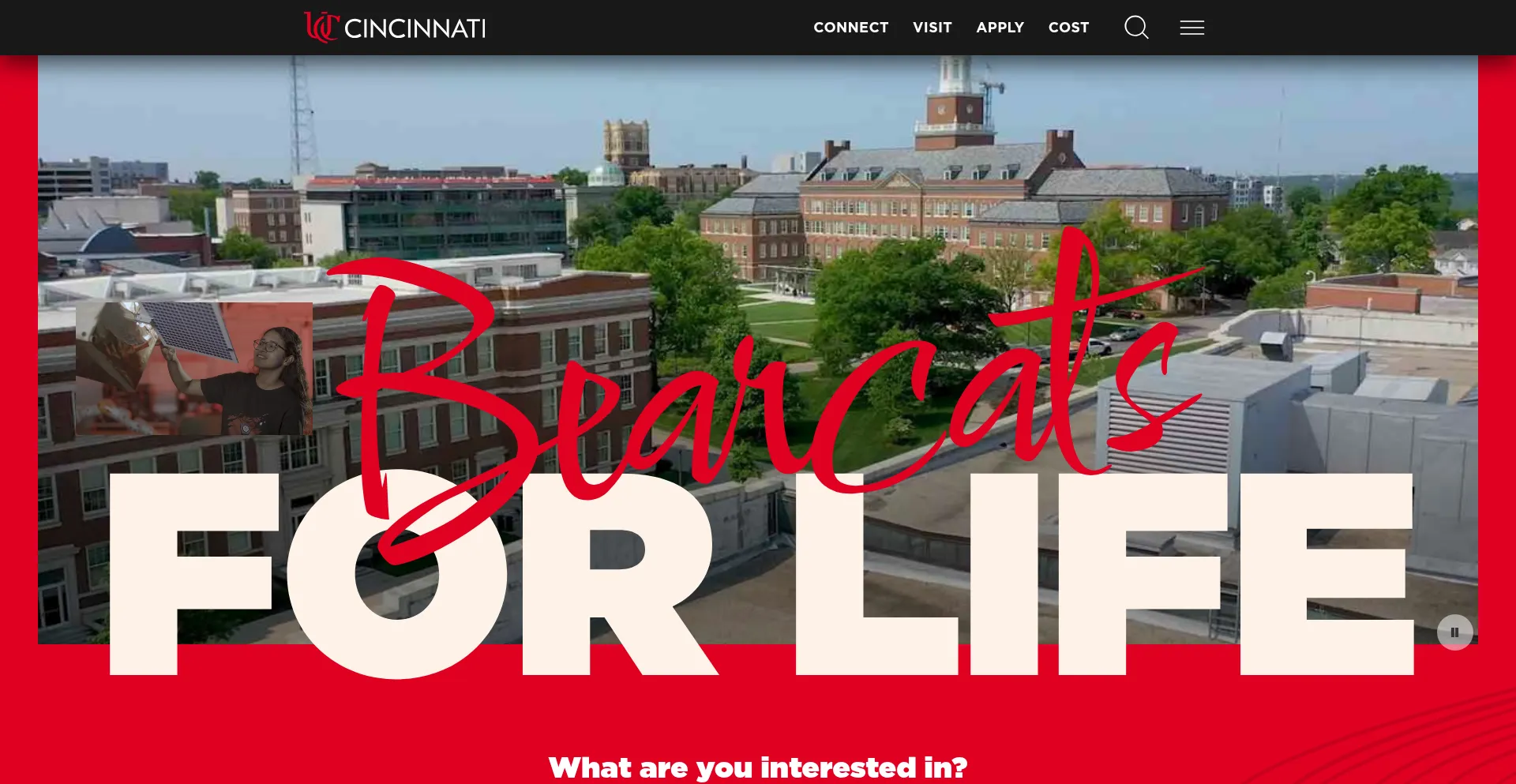 Annachi.com