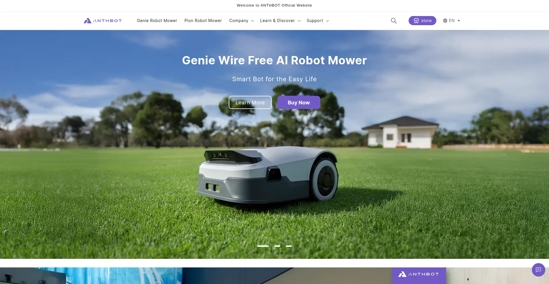 Website screenshot of Anthbot.com
