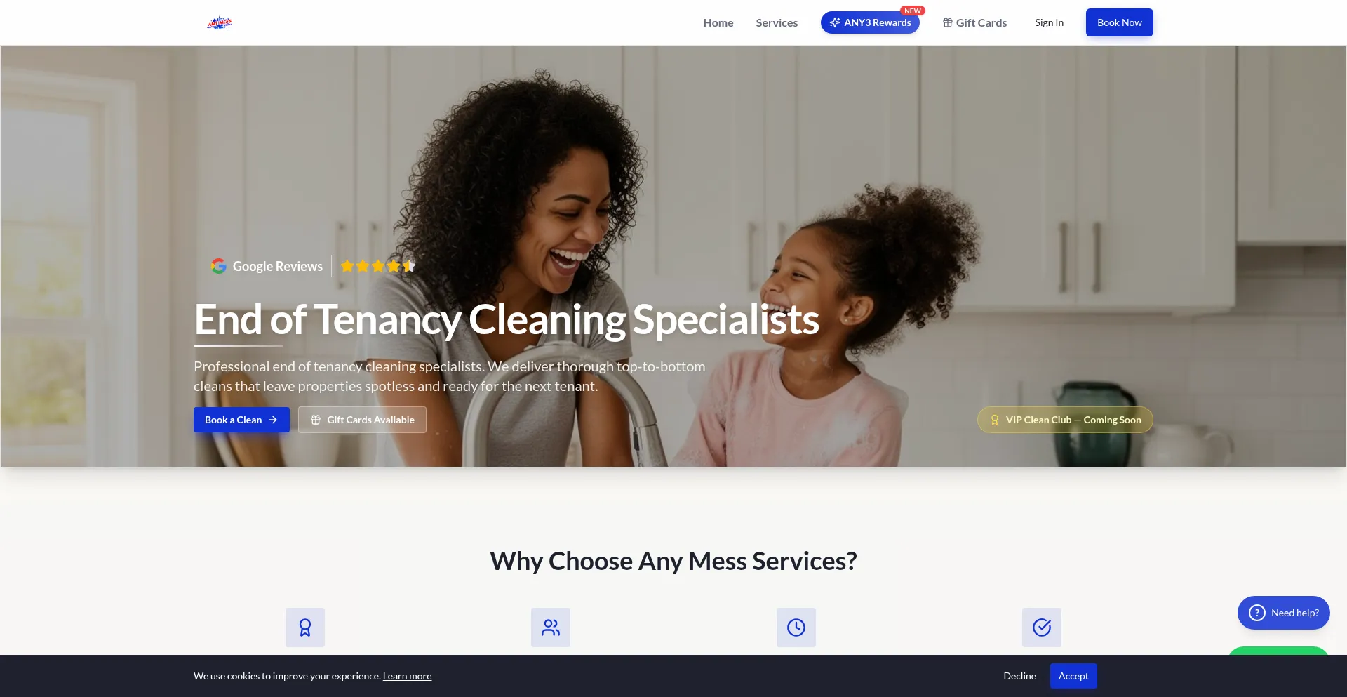 Anymesscleaningservice.com