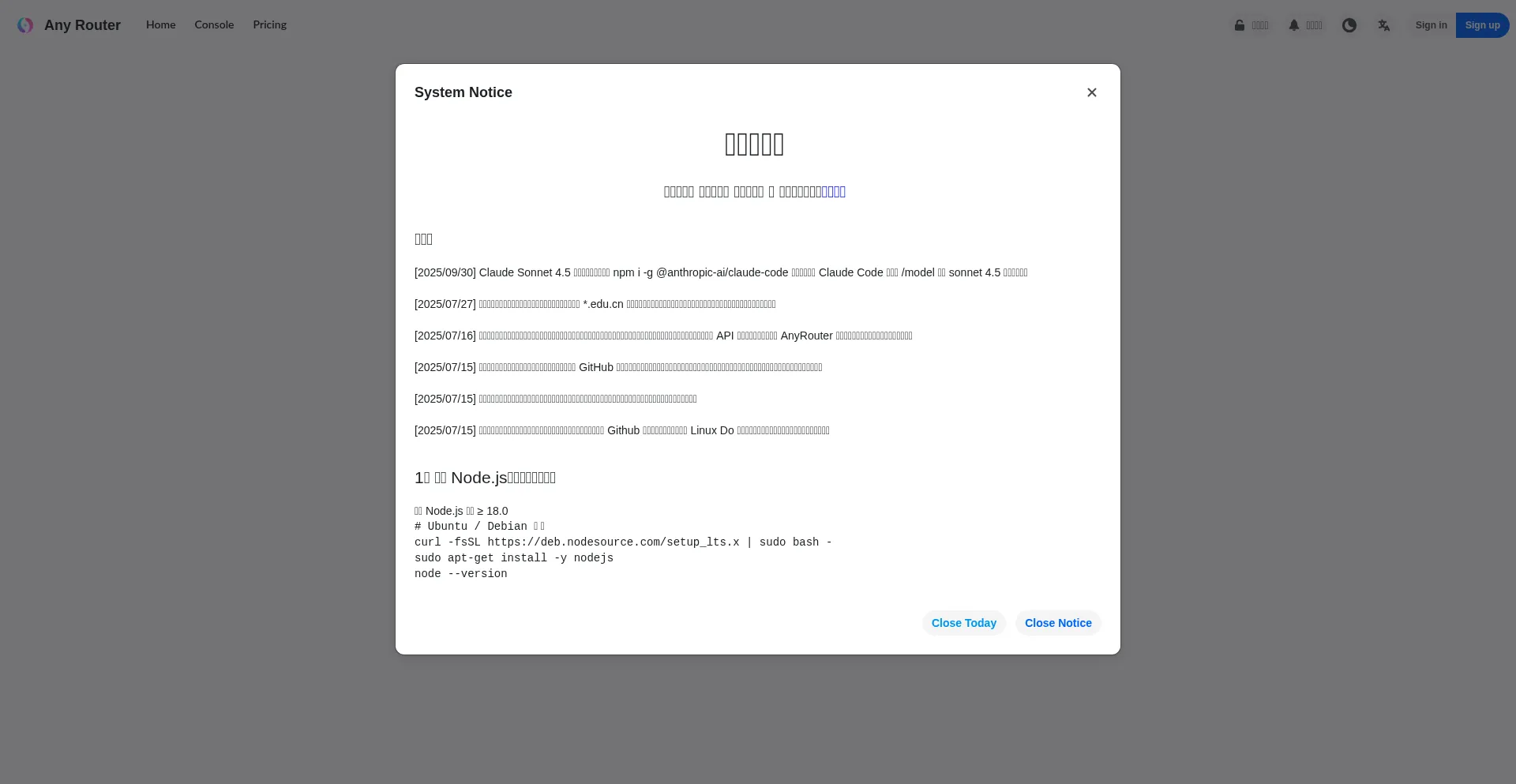 Anyrouter.top