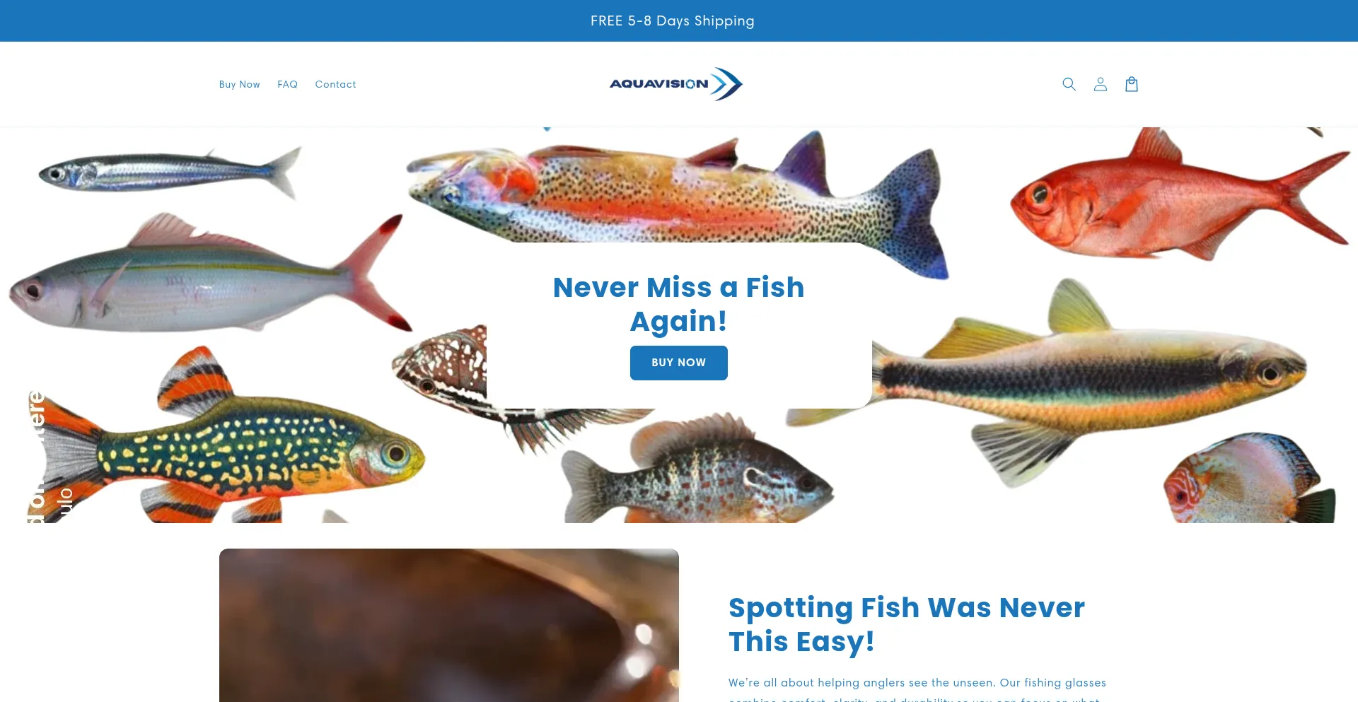 Website screenshot of Aqua-vision.co