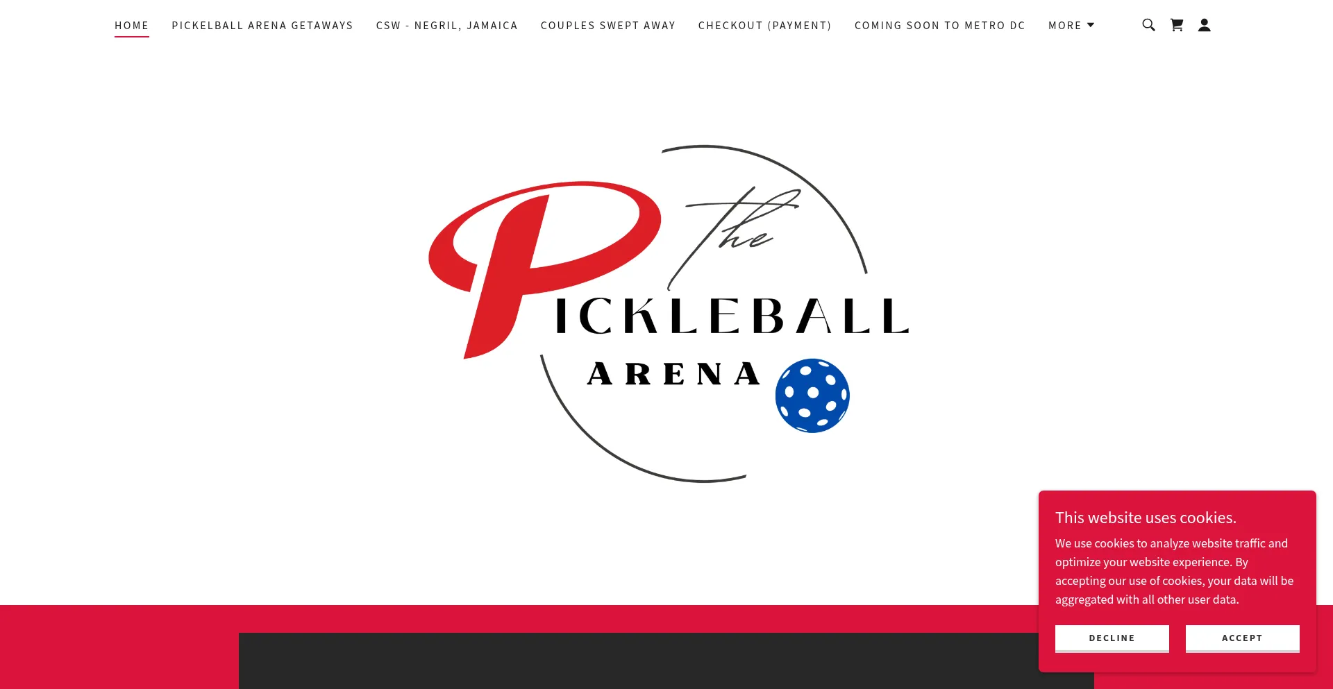 Website screenshot of Arenaofpickle.com