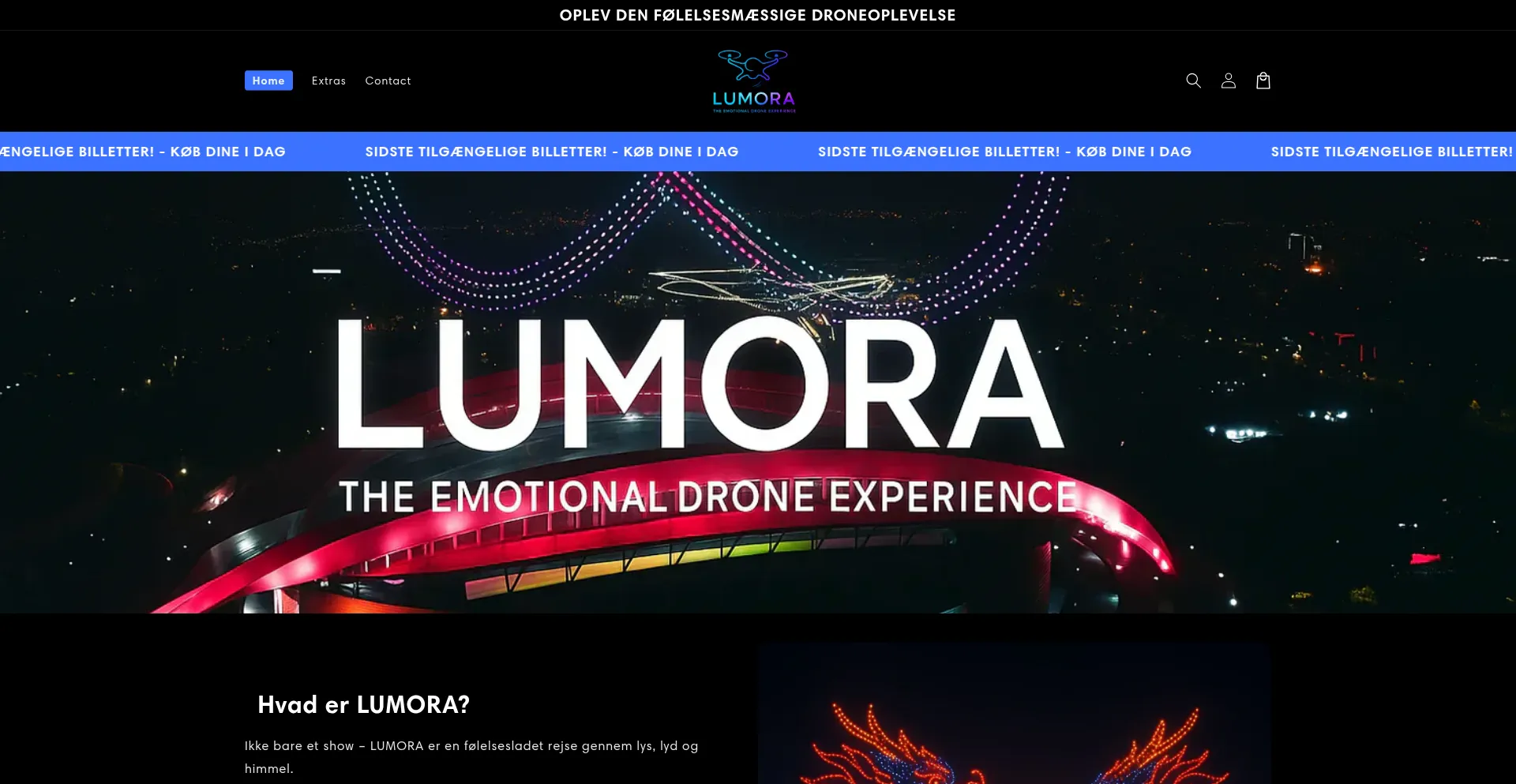 Website screenshot of Ariexperiences.com