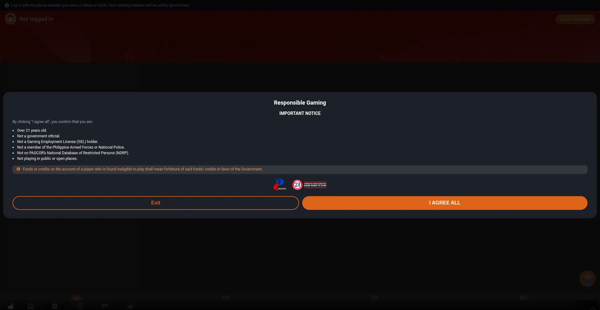 Website screenshot of Arionplay.com