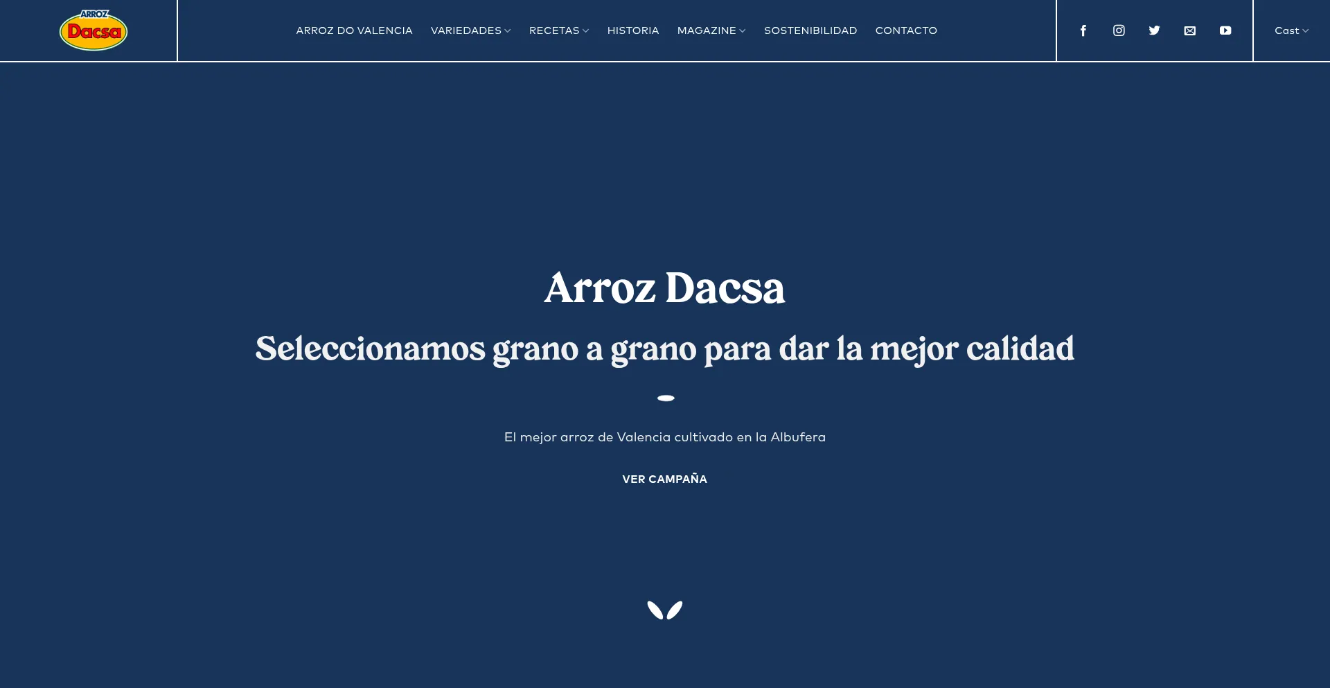 Arrozdacsa.com