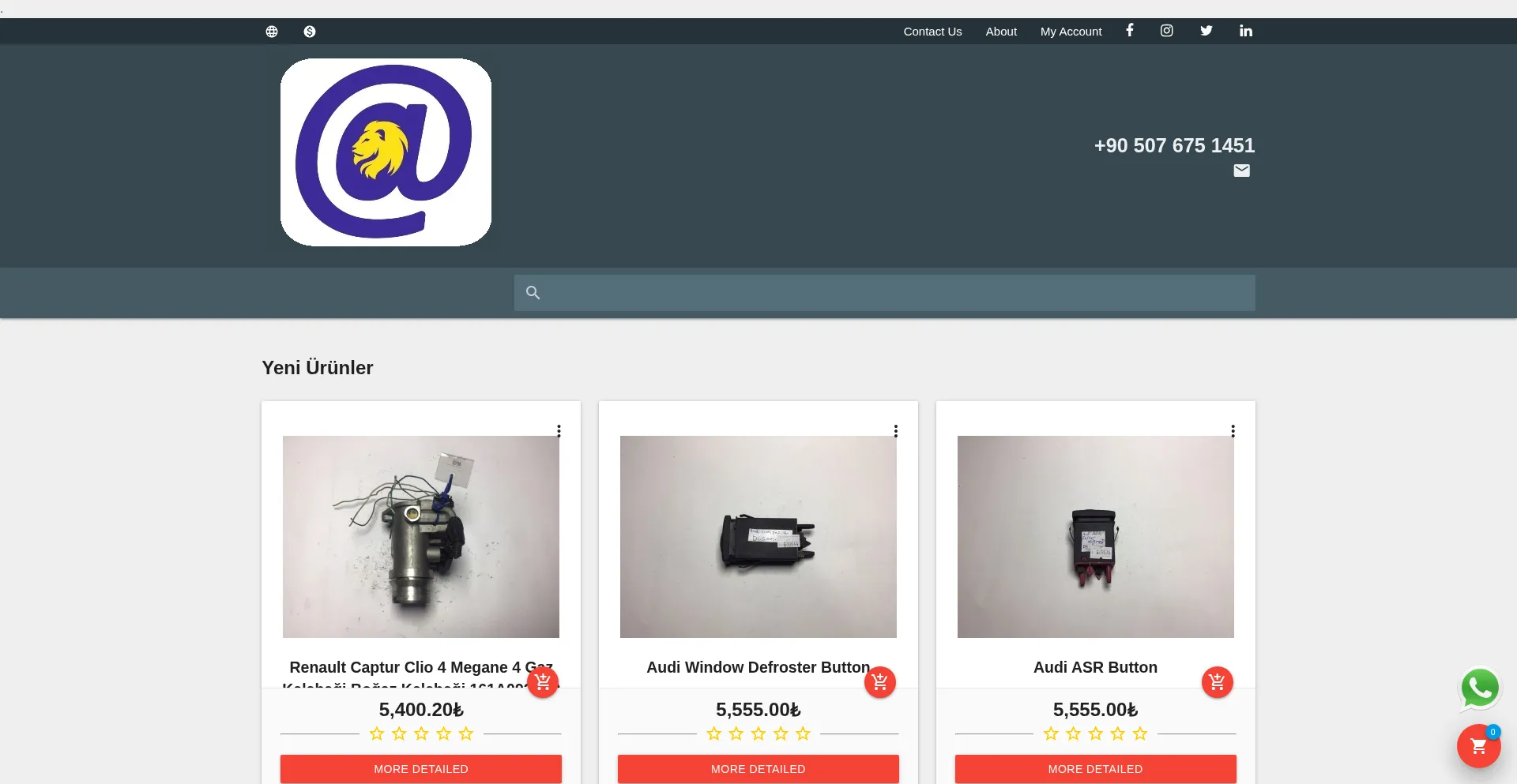 Website screenshot of Arslanotoelektronik.com