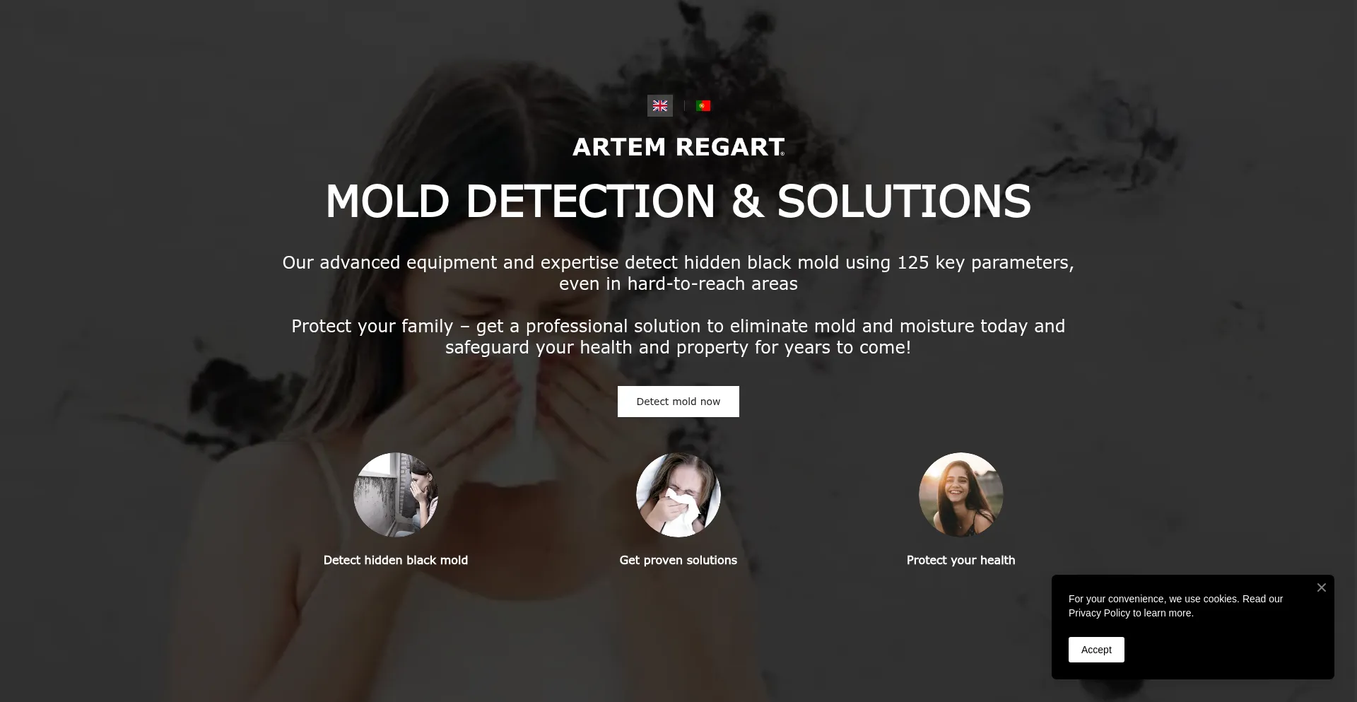 Website screenshot of Artemregart.com