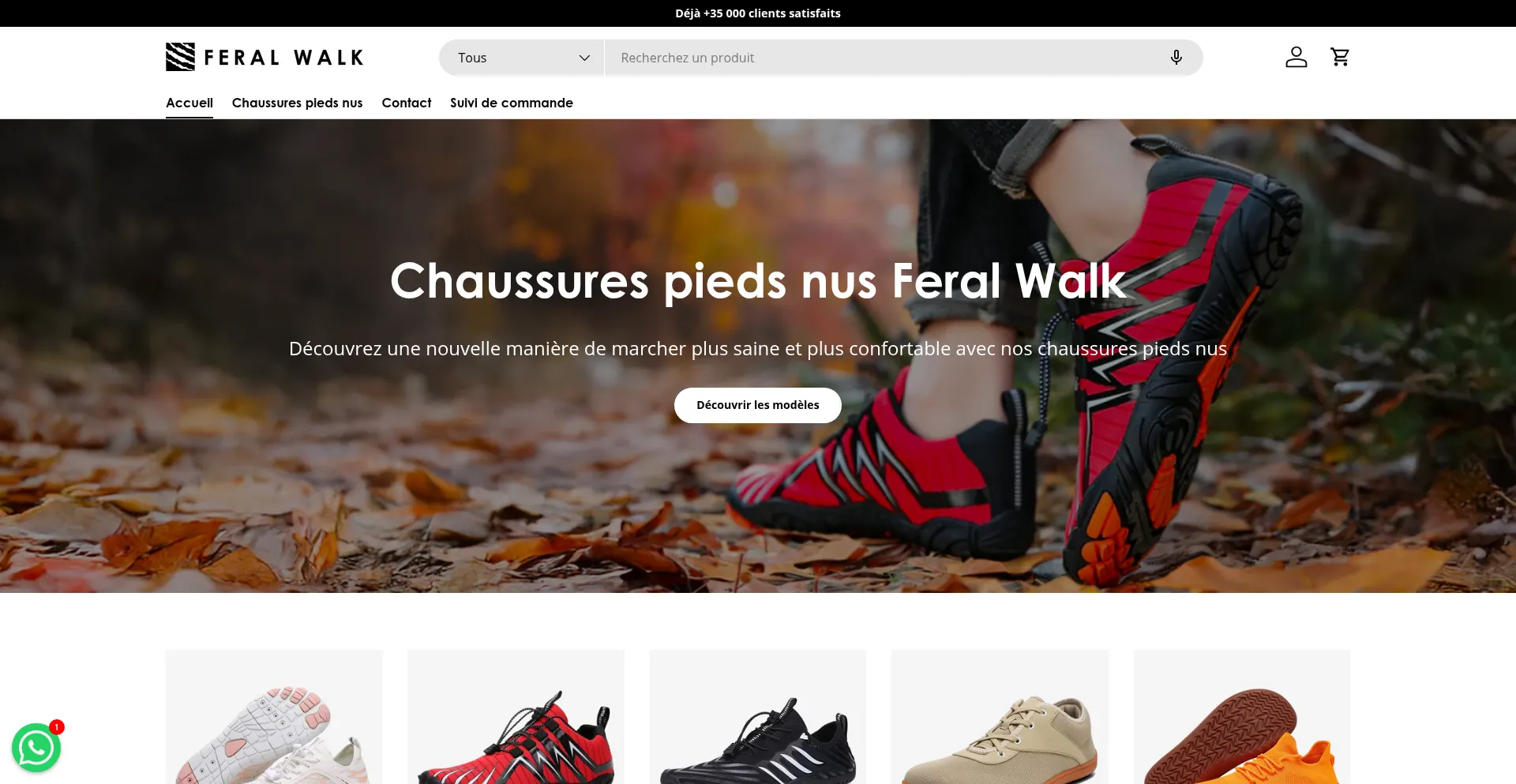Website screenshot of Article.feralwalk.com