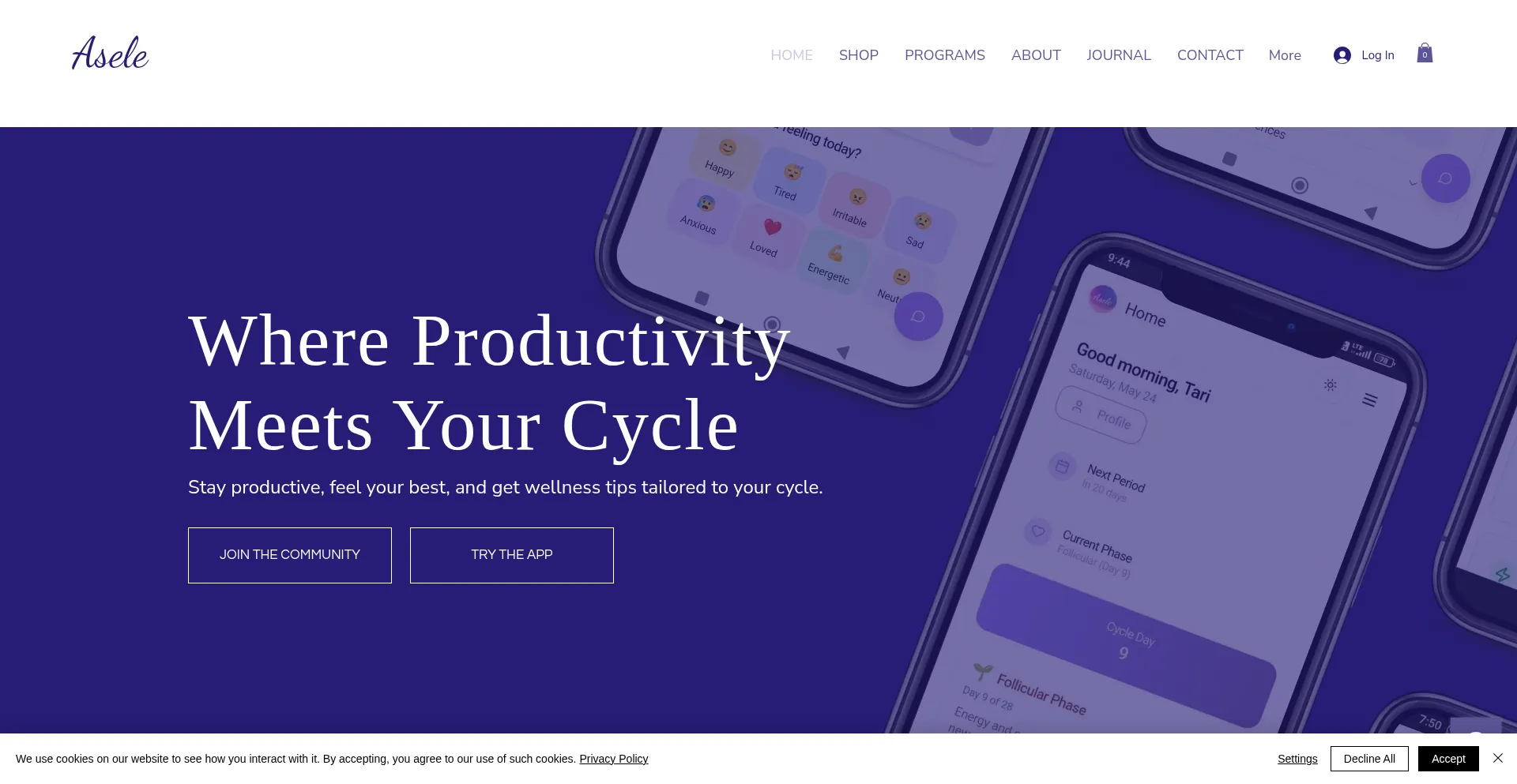 Website screenshot of Asele.tech