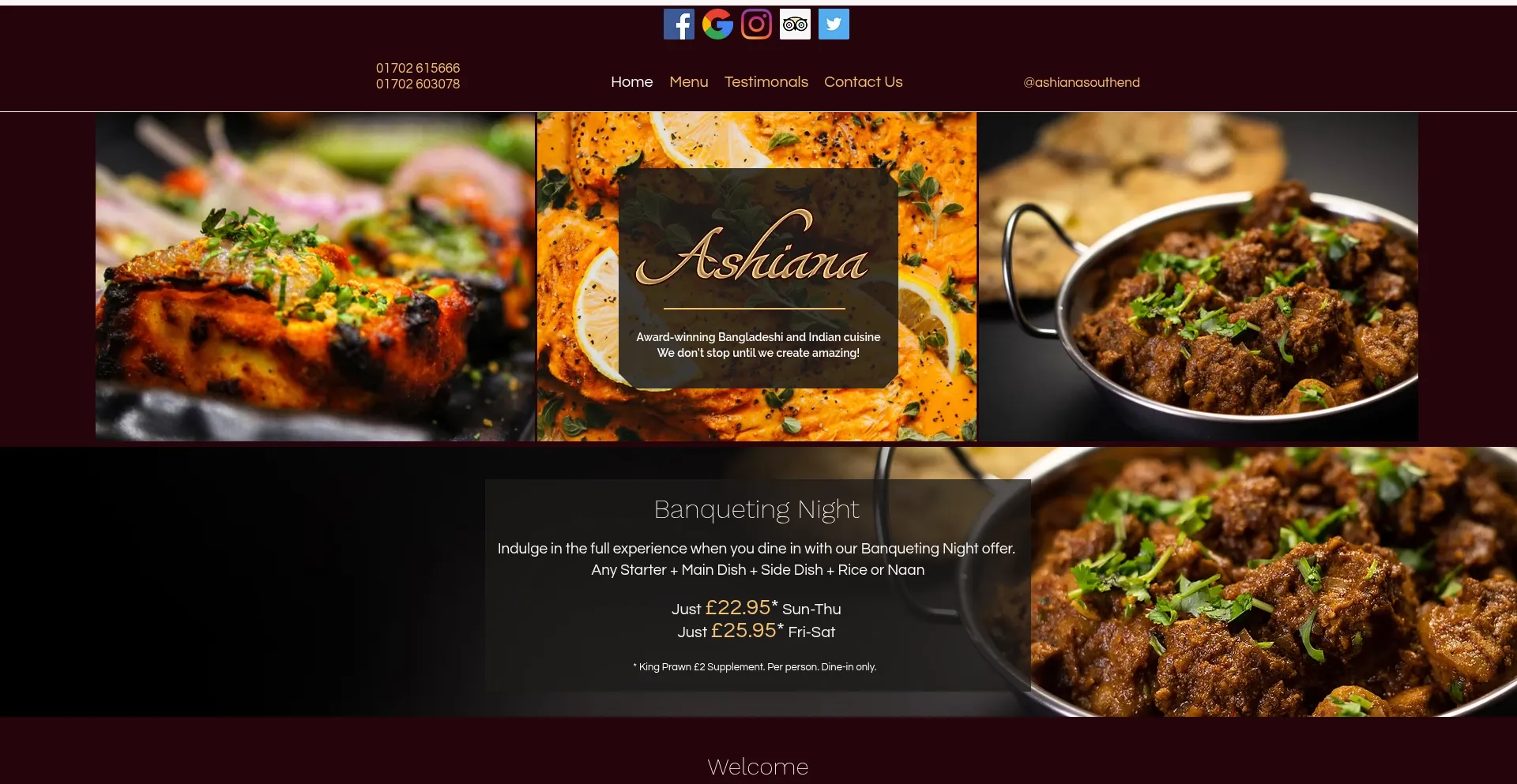 Website screenshot of Ashianasouthend.co.uk