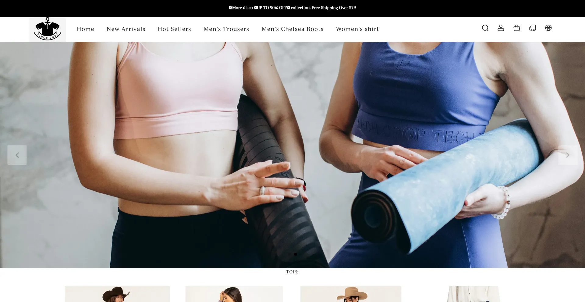 Website screenshot of Ashleystewartplus.com