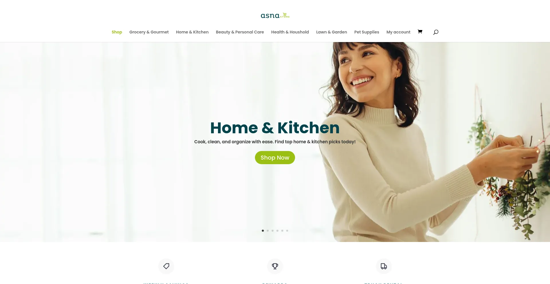 Website screenshot of Asnaonline.com