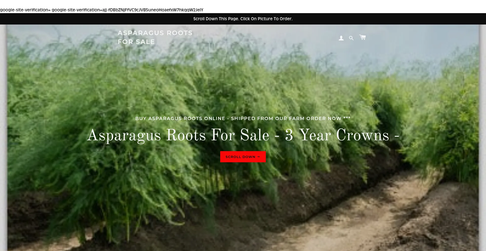 Asparagusrootsforsale.com