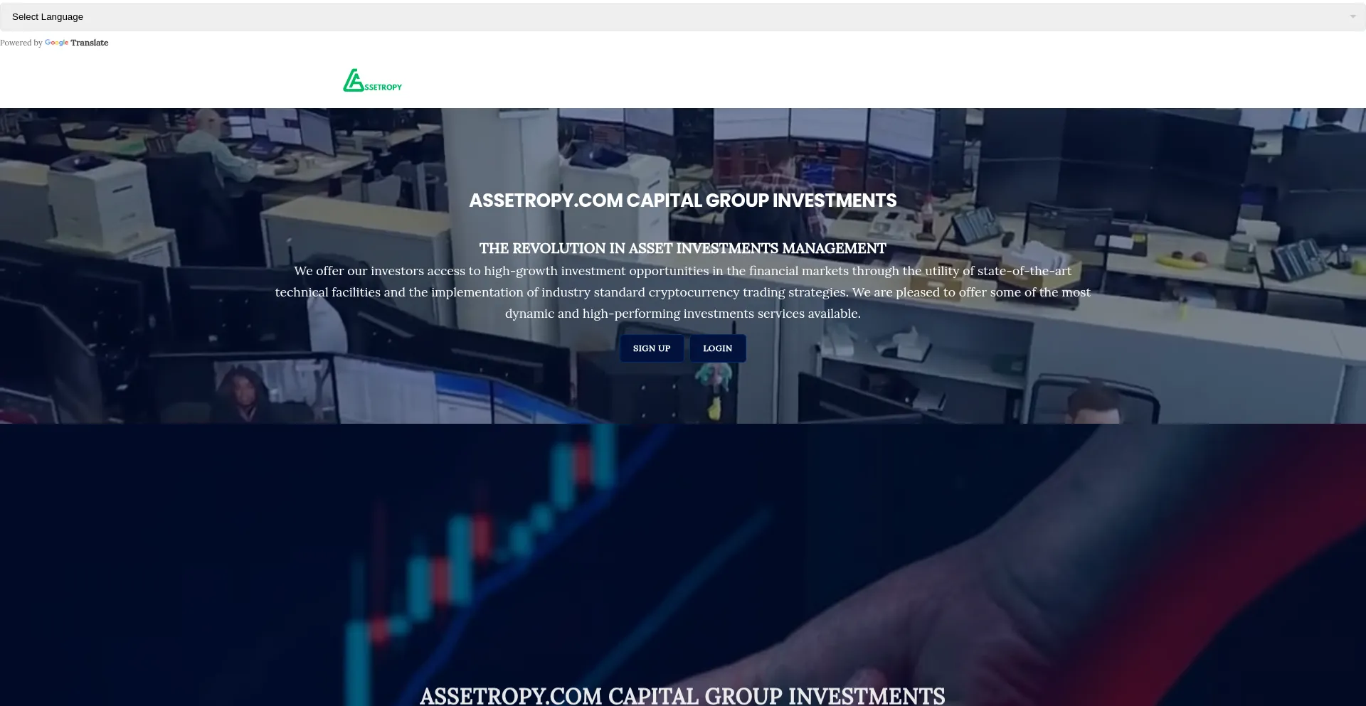 Website screenshot of Assetropy.com