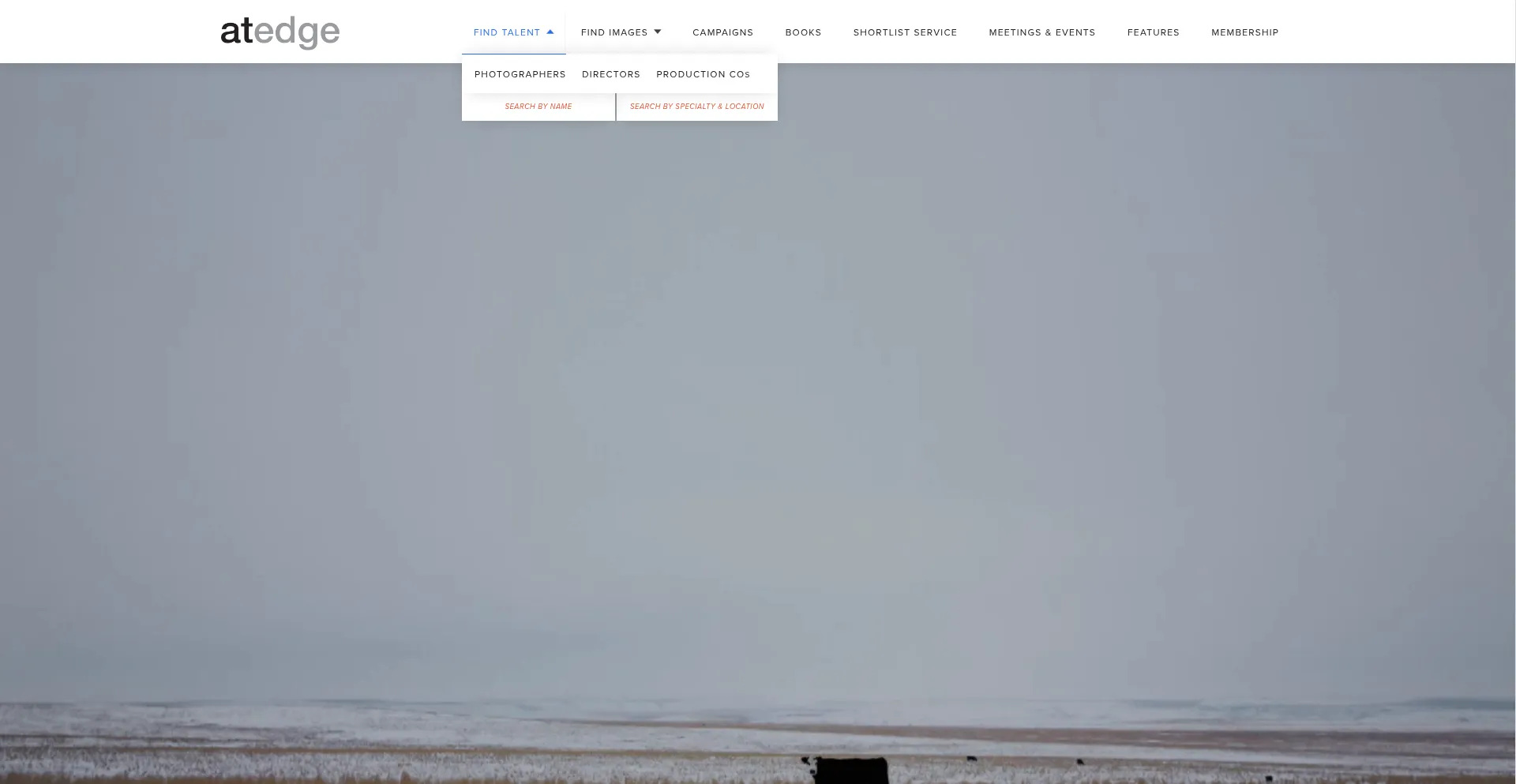 Website screenshot of At-edge.com