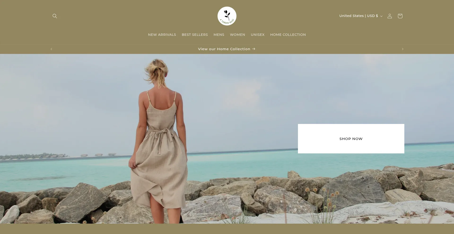 Website screenshot of Atenderrose.com