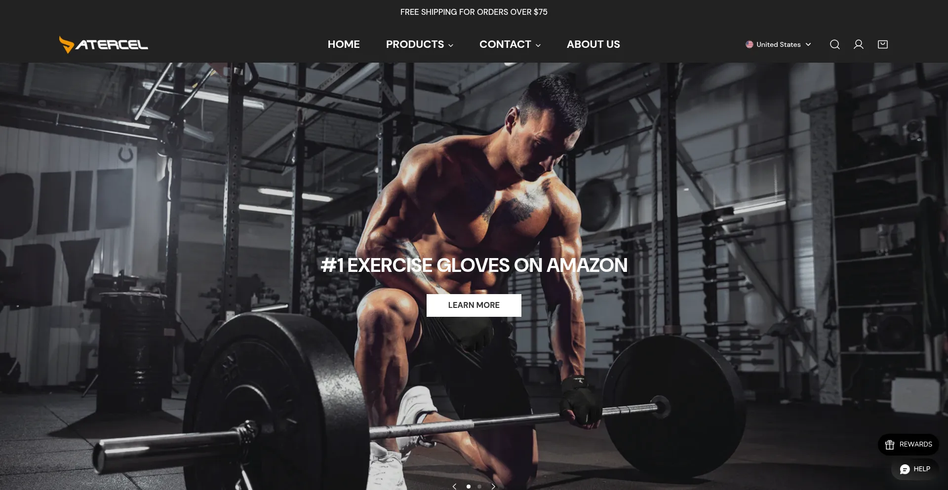 Website screenshot of Atercel.com