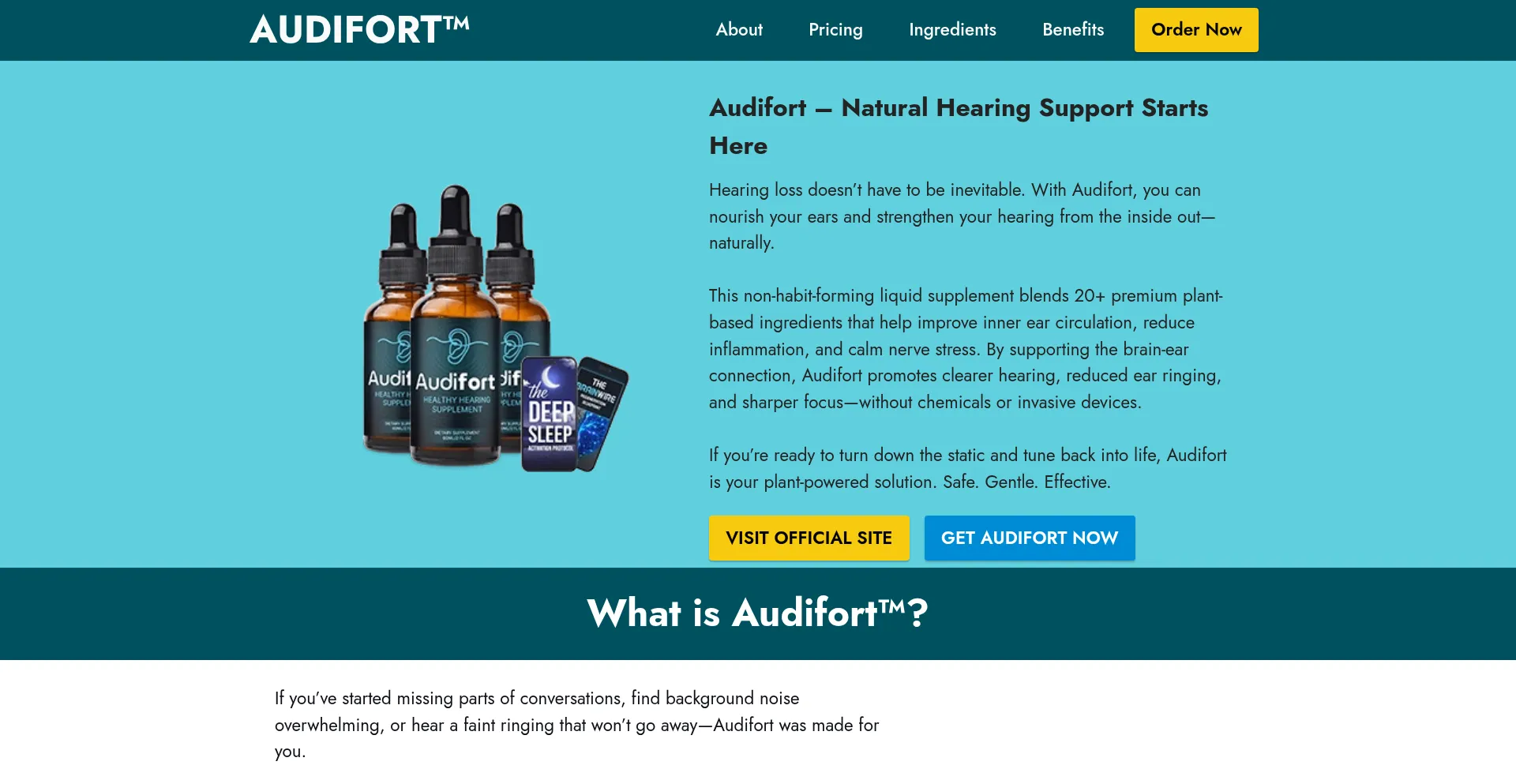 Website screenshot of Audifoart.com