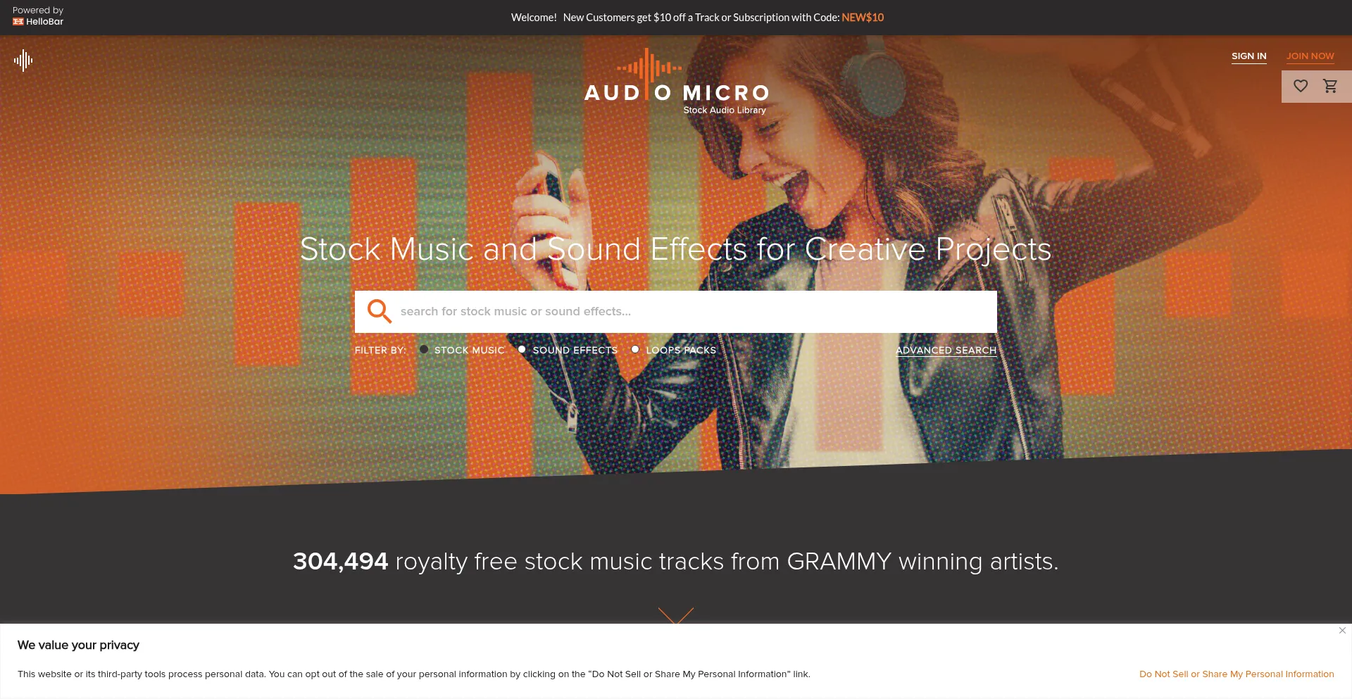 Website screenshot of Audiomicro.com