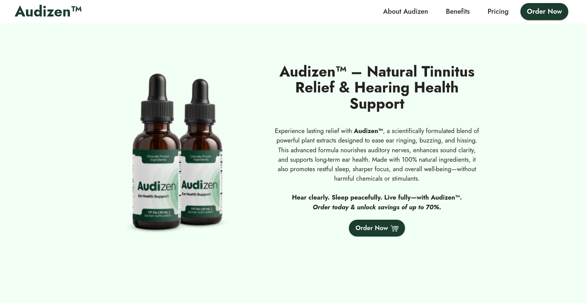 Website screenshot of Audizan.us