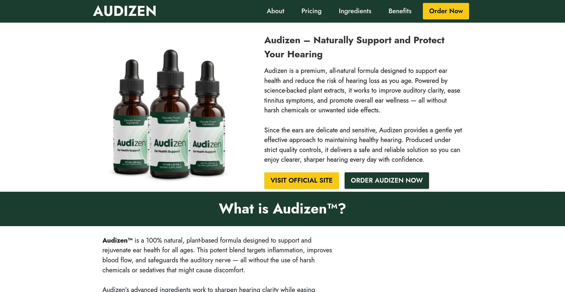Website screenshot of Audizendrop.com