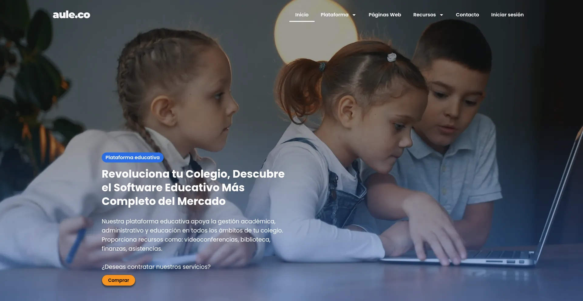 Website screenshot of Aule.co