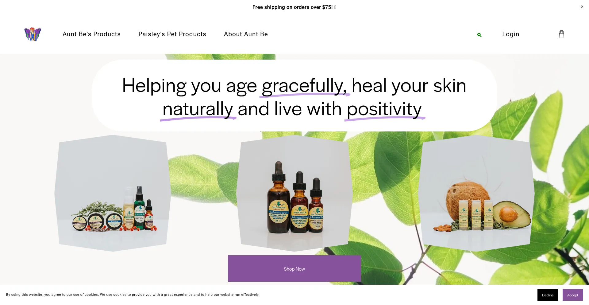 Website screenshot of Auntbebotanicals.com