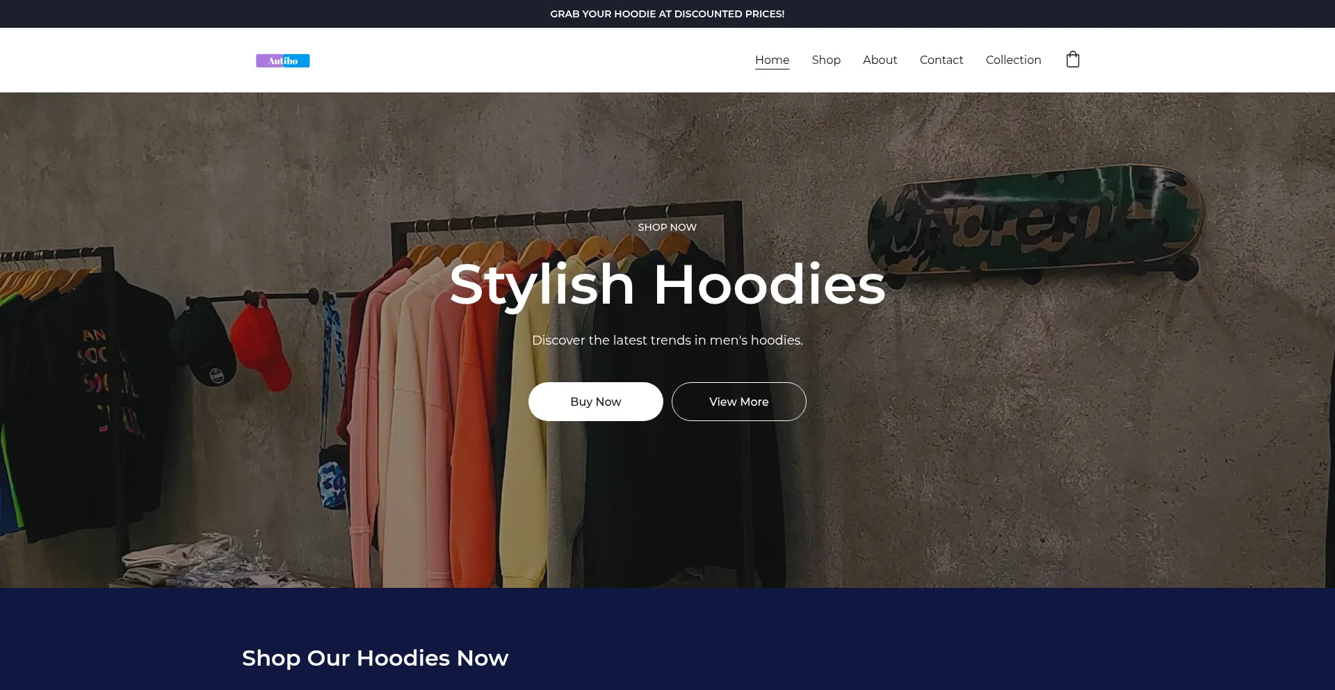 Website screenshot of Autibo.com