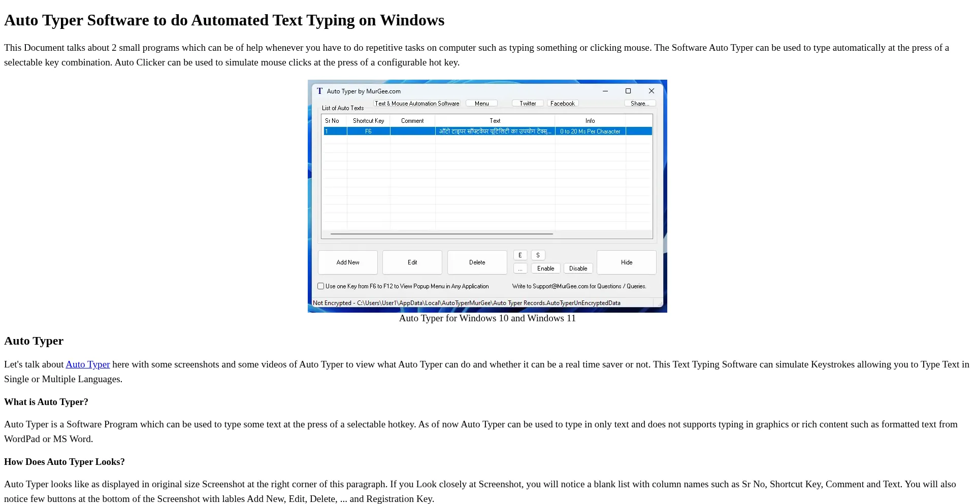 Website screenshot of Auto-typer.com