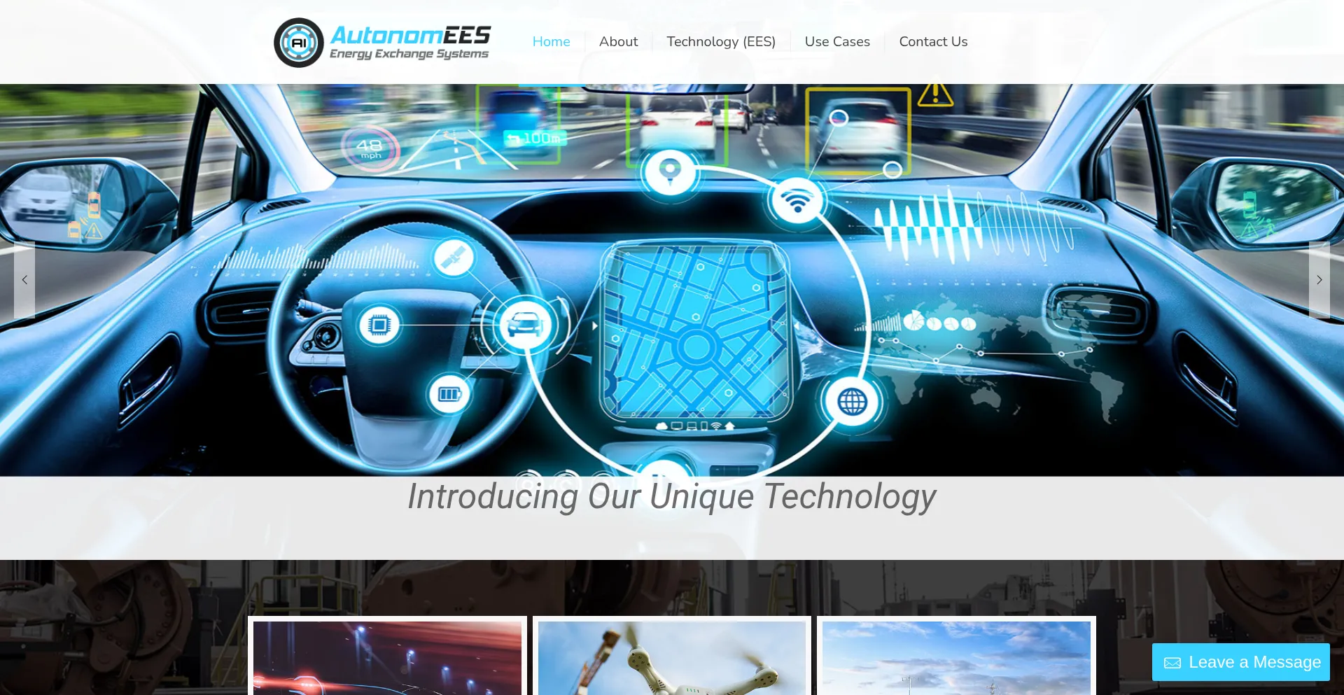 Website screenshot of Autonomees.com