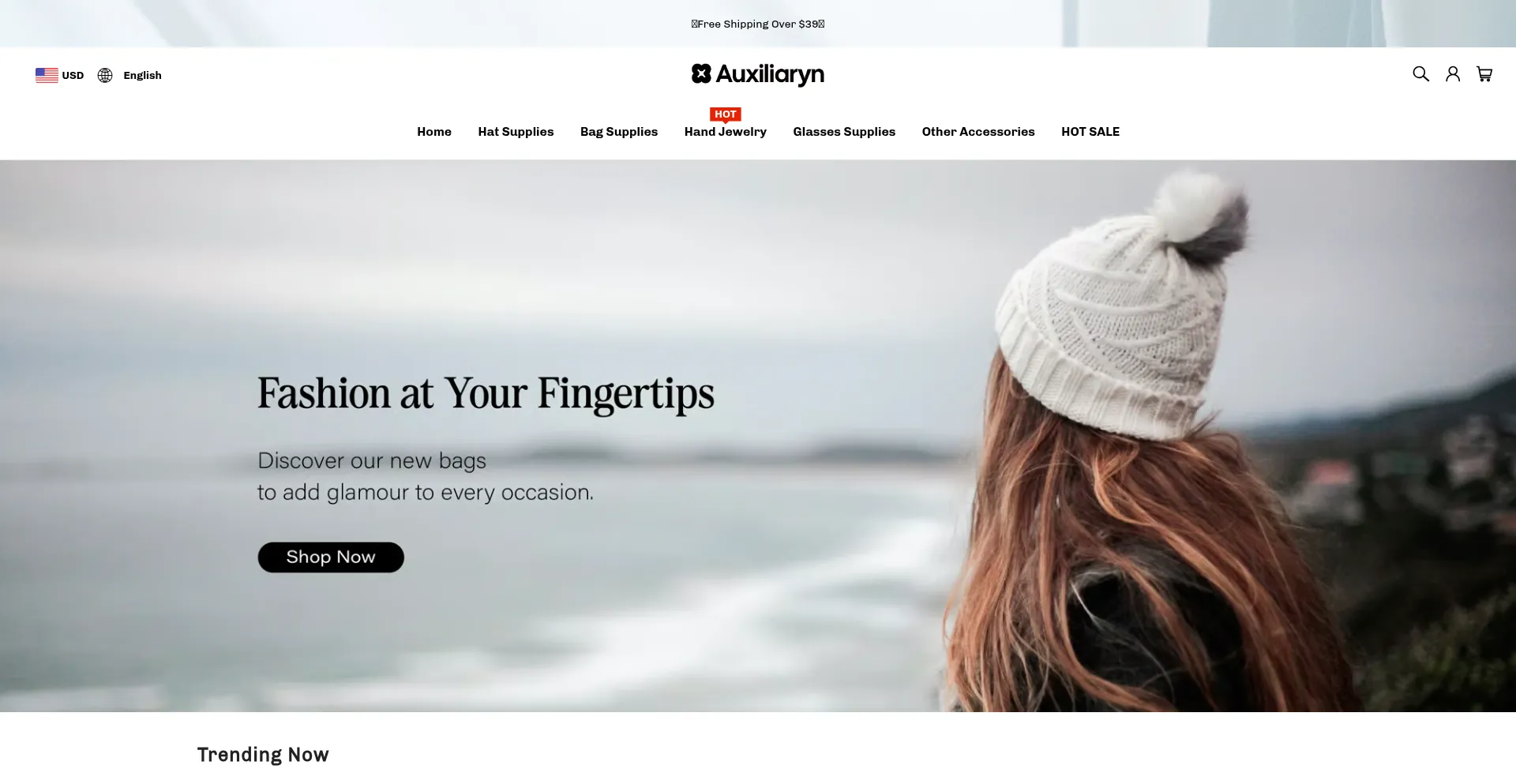 Auxiliaryn.com